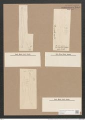 Pleurosigma angulatum var. elongatum (W.Sm.) V.H. (de-Toni-Nr.: Genus 13, Species 1001) Zeichnungen Sammlung Grunow Nr. 2006 (NHMW-BOT-W0368854)